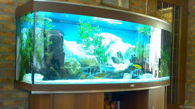 Mein neue´s becken. Mein neue´s becken.