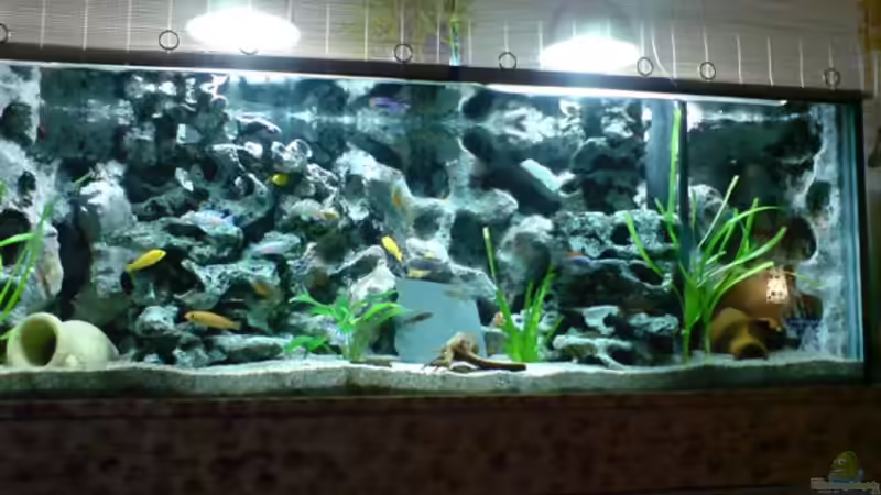 Mein neues Becken Mein neues Becken