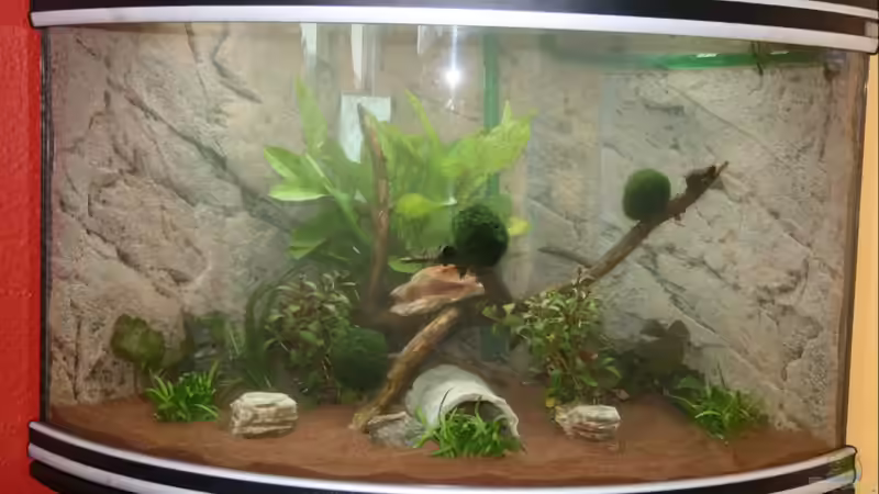 Mein neues Eckaqaurium Mein neues Eckaqaurium