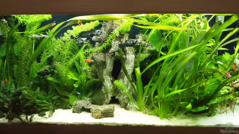 Mein Ruhe Pool Mein Ruhe Pool