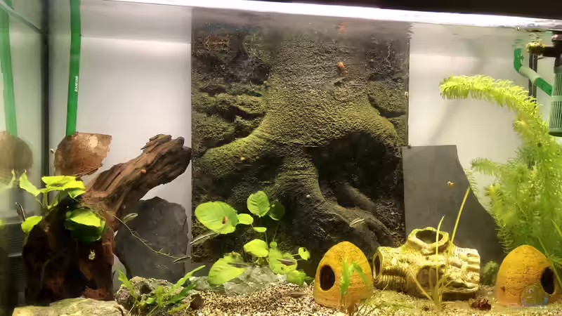 Mein schönes Afrika ❤️ Mein schönes Afrika ❤️