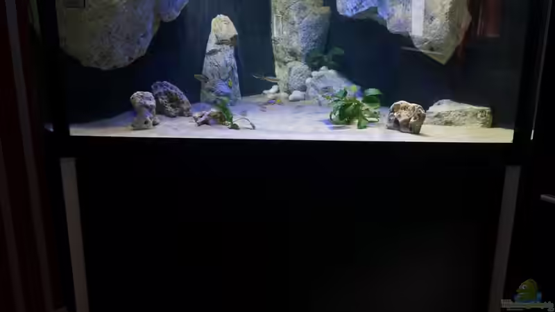 mein Traum Becken mein Traum Becken