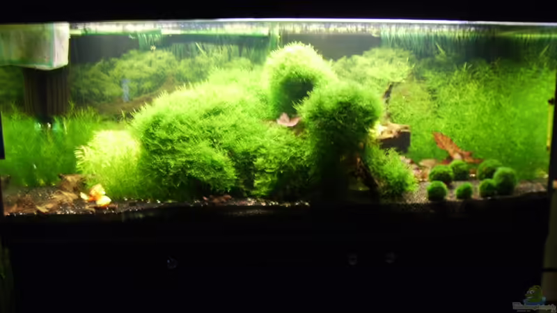 Meine Erholungsoase nach der Umgestaltung Meine Erholungsoase nach der Umgestaltung