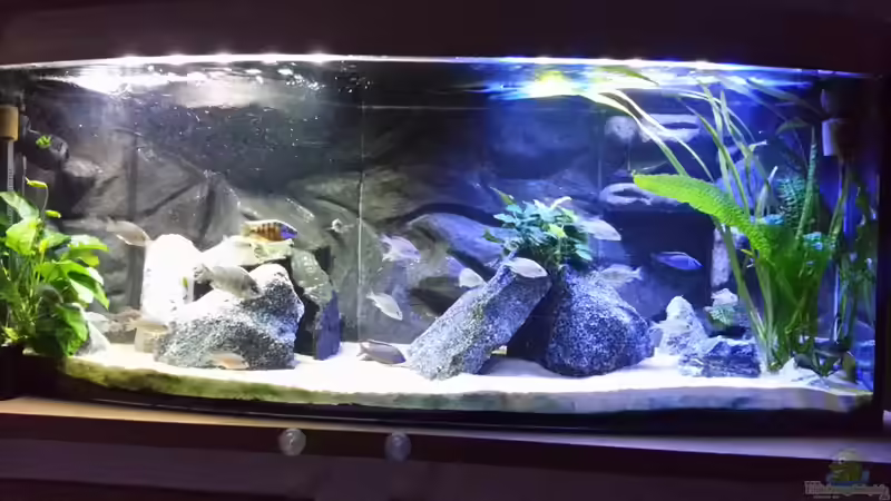 Meine kleine Malawi Welt Meine kleine Malawi Welt