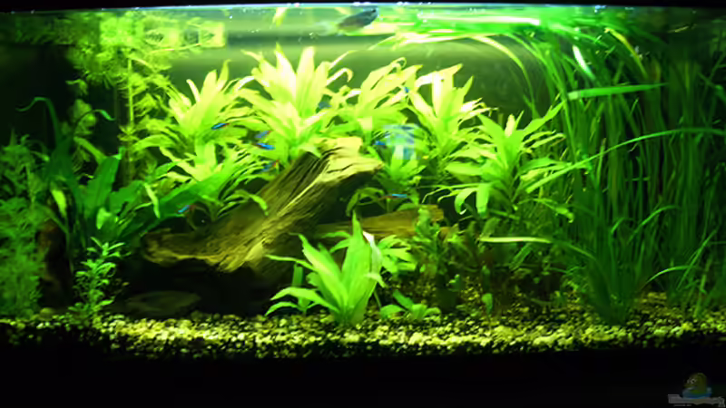 Meine kleine Unterwasserwelt Meine kleine Unterwasserwelt