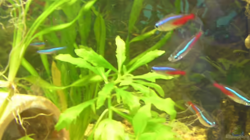 meine Neons meine Neons