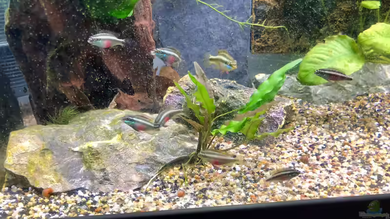 Meine neue Beleuchtung! Teil 3