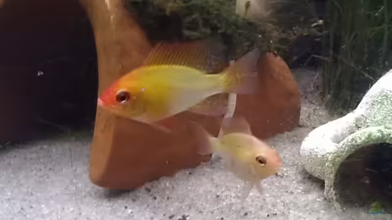 Meine neuen Lieblinge :) Meine neuen Lieblinge :)