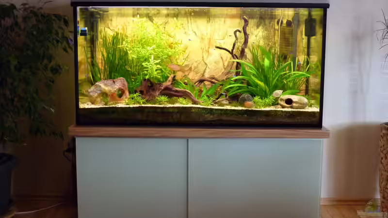 Meine Wohnzimmerdeko Meine Wohnzimmerdeko