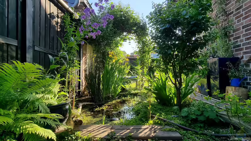 Mini Naturteich Mini Naturteich