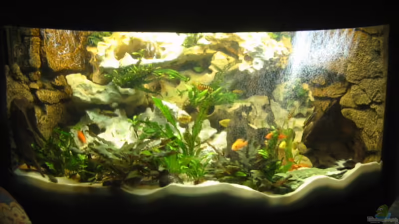 Mitte Geröllawine / Rechts + Links Juwel Rock und Wasserzulauf nach Filterung über Düsenrohr von Eheim und direkt aus dem Schlauch Mitte Geröllawine / Rechts + Links Juwel Rock und Wasserzulauf nach Filterung über Düsenrohr von Eheim und direkt aus dem Schlauch