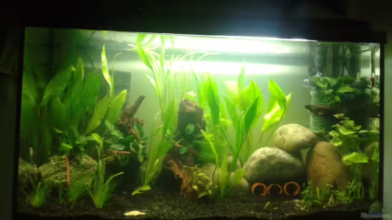 Momentaner Blick ins Becken! Momentaner Blick ins Becken!