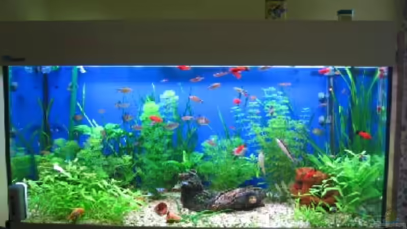 MP Aquarien MP Aquarien