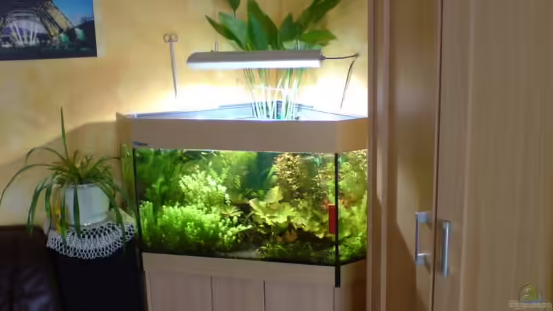 MP Brillant 110 MP Brillant 110