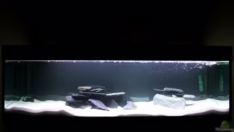 My Tanganyika My Tanganyika