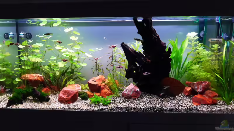 Nach 4 Wochen Nach 4 Wochen