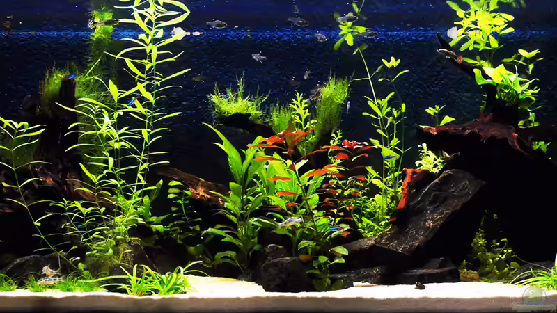 Nach ca. 2 Monaten Nach ca. 2 Monaten