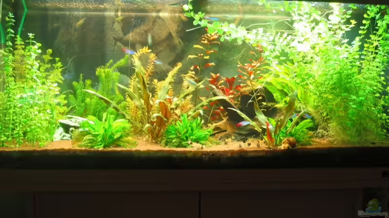 nach dem Gärtnern nach dem Gärtnern