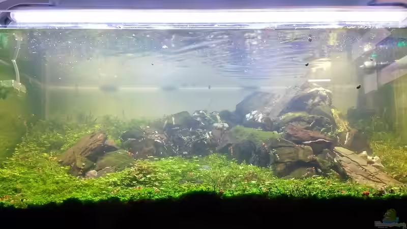 Nach dem Neugestallten Nach dem Neugestallten