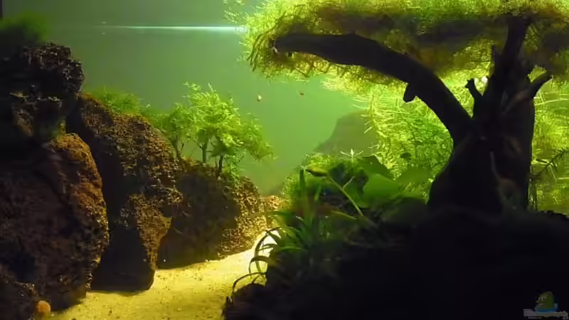 nach einem Monat nach einem Monat