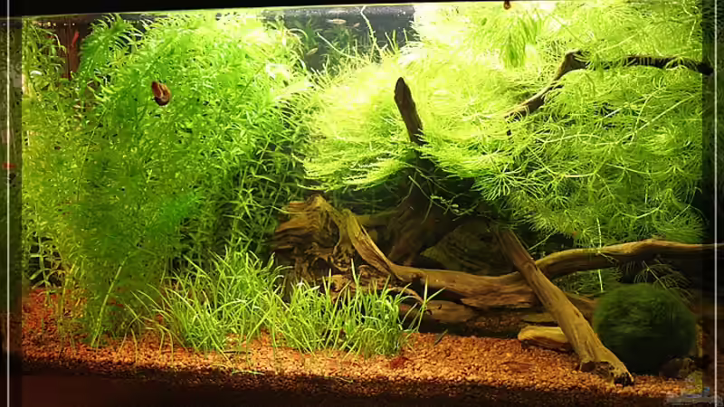 nach fast 4 Monaten nach fast 4 Monaten