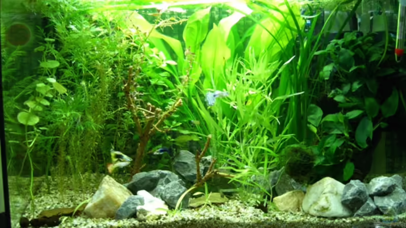 Nach Umbau 10.09 Nach Umbau 10.09