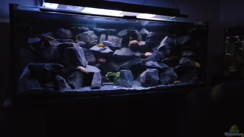 Nach Umgestaltung und Erweiterung des Felshangs Nach Umgestaltung und Erweiterung des Felshangs