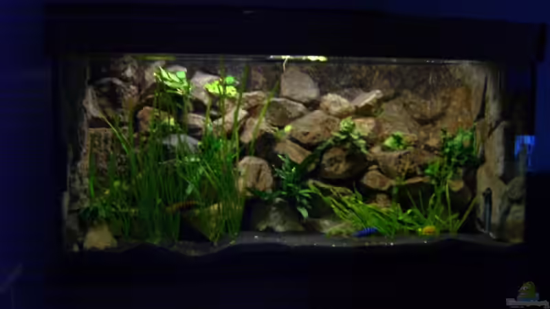 nach Umzug neu eingerichtet nach Umzug neu eingerichtet