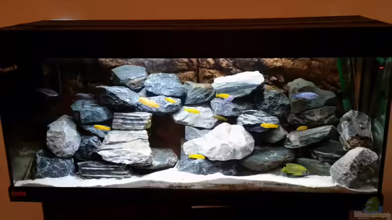 nach zusätzlicher Abdunklung. Kommt leider heller rüber als es ist nach zusätzlicher Abdunklung. Kommt leider heller rüber als es ist