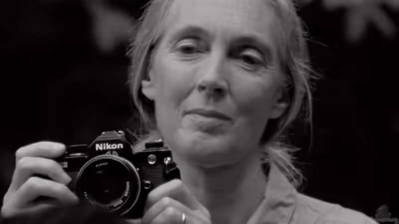 Nachruf - Jane Goodall (1934-2025)