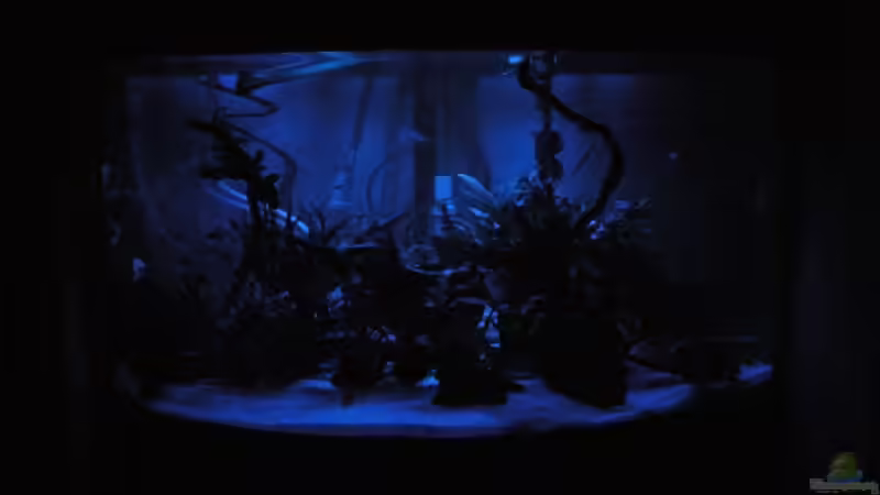 Nachtlich 21:45 Uhr-23:30 Uhr Nachtlich 21:45 Uhr-23:30 Uhr