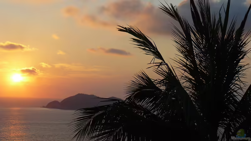 Nahe am Biotop: Mit LED einen natürlichen Tagesablauf simulieren