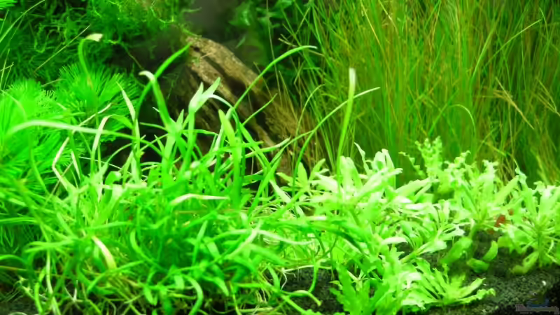 Nano Cube 10.06.2009 Nano Cube 10.06.2009