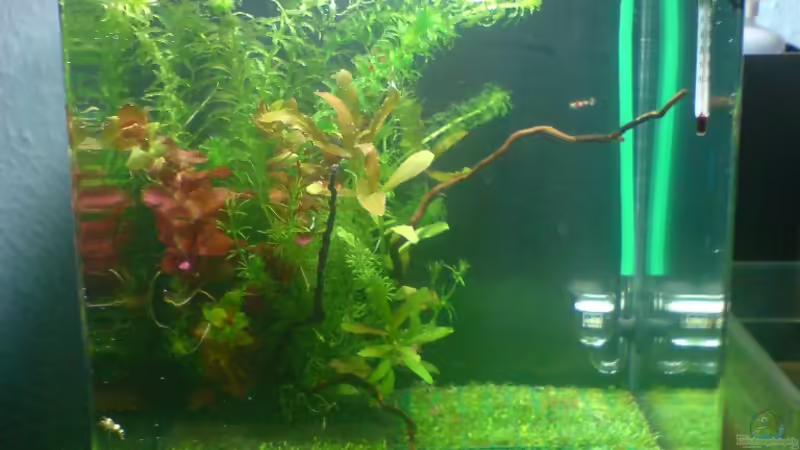 Nano Cube 20 liter Nano Cube 20 liter