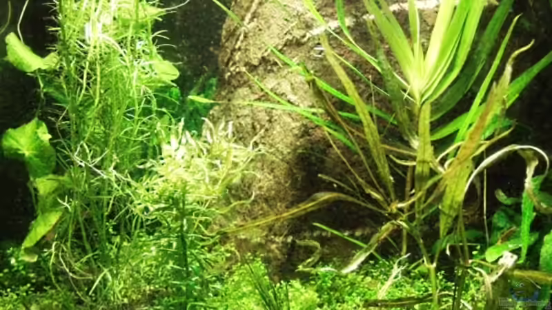 Nano Cube 30L Nano Cube 30L