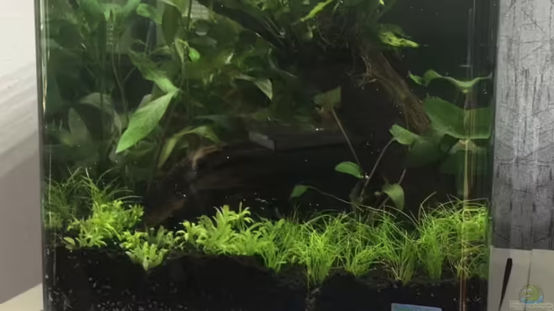 Nano Cube 30L Nano Cube 30L