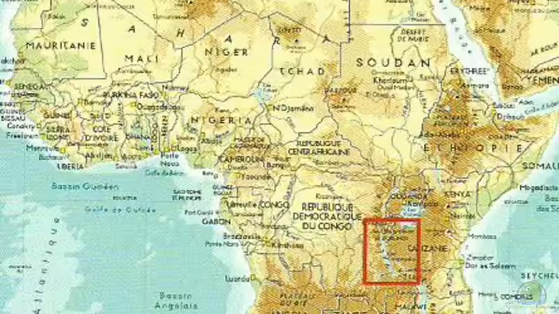 Neolamprologus Speciosus - Eine Artbeschreibung