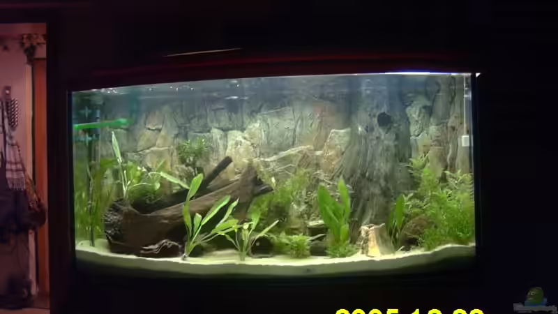 neu eingerichtet neu eingerichtet