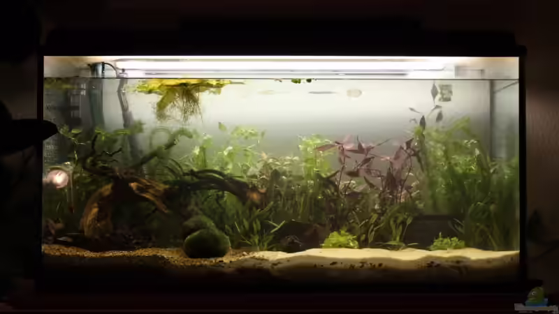 neu eingerichtet am 16.09.09 neu eingerichtet am 16.09.09