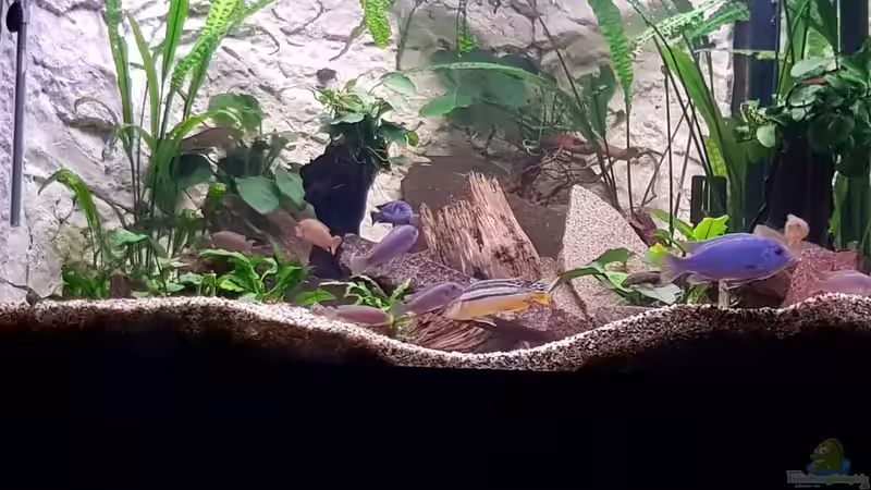 Neu eingerichtet April 2017 Neu eingerichtet April 2017