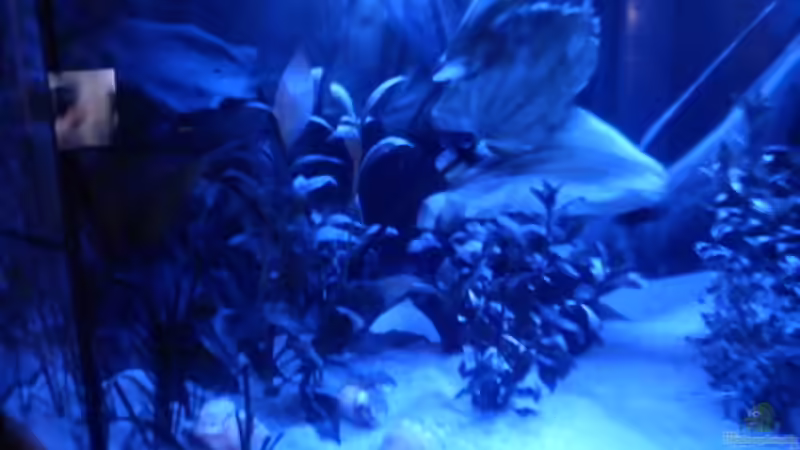 neu gestaltet ;-)) neu gestaltet ;-))