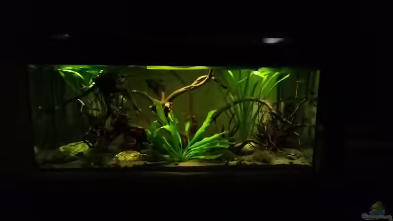 Neue Beleuchtung Neue Beleuchtung