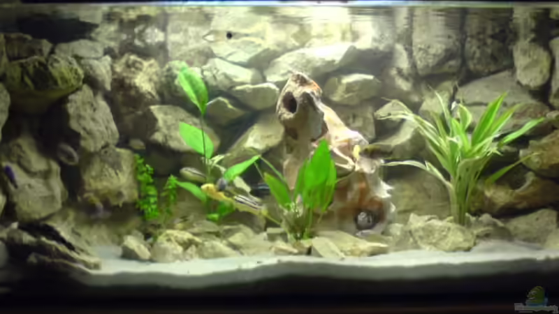 neue Beleuchtung neue Beleuchtung