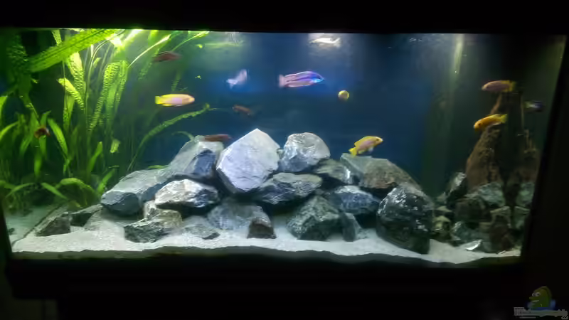 Neue Einrichtung :) Neue Einrichtung :)