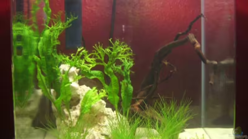 Neueinrichtung 18.1.09 Neueinrichtung 18.1.09