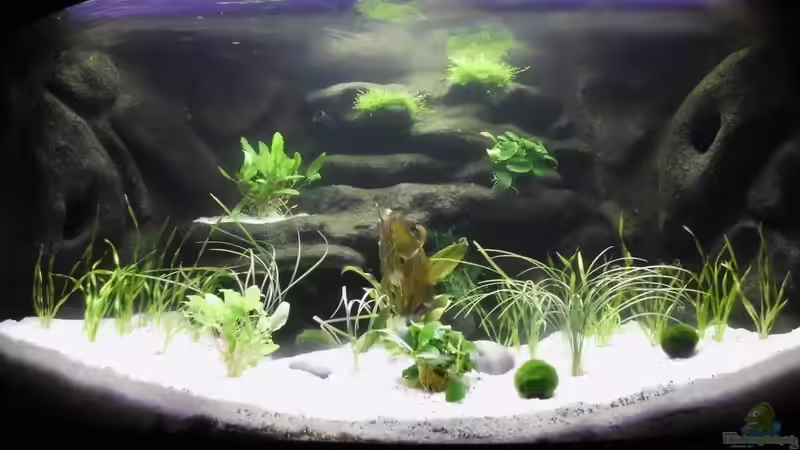 Neueinrichtung am 28.02.2011 Neueinrichtung am 28.02.2011