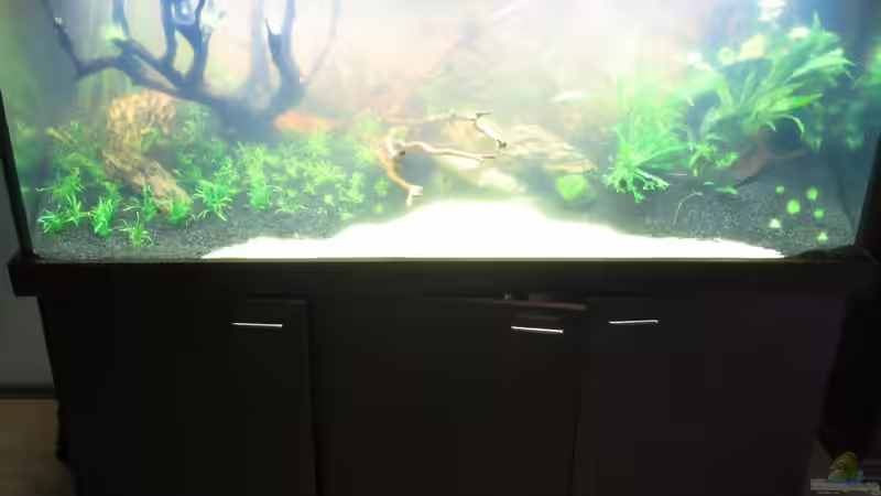 Neueinrichtung Juli 2017 Neueinrichtung Juli 2017