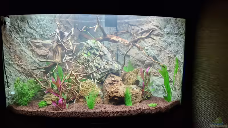 Neueinrichtung Trigon 190 Neueinrichtung Trigon 190