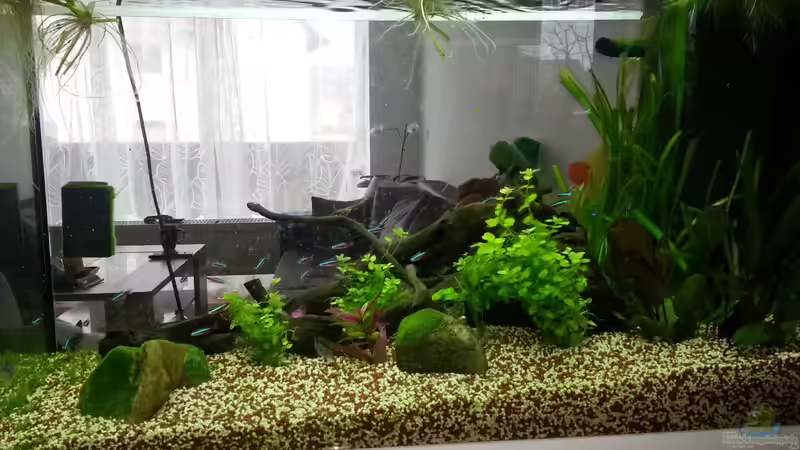 Neueinrichtung Neueinrichtung