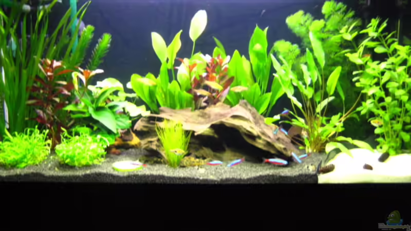 Neueinrichtung Neueinrichtung